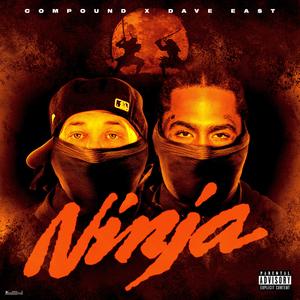 Ninja (Explicit)