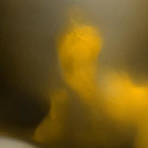 Auntentic Mutual Love