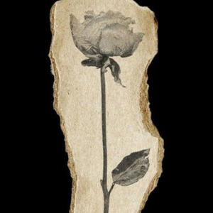 What I Need (Explicit)