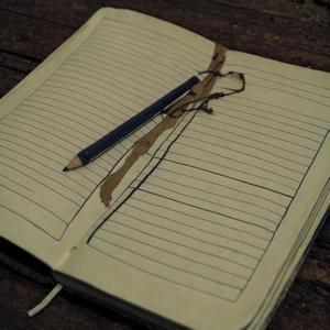 The Lost Notebook