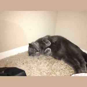 10月10號澳門下了一場雨