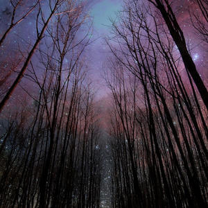 P&P Snippet (feat. Twiinpercs) (Explicit)