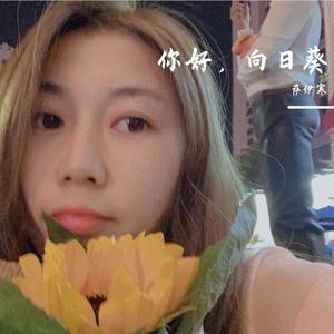 你 好 ， 向 日 葵