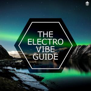 The Electro Vibe Guide