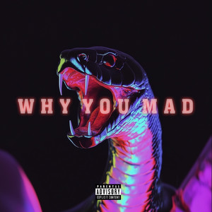 Why You Mad (Explicit)