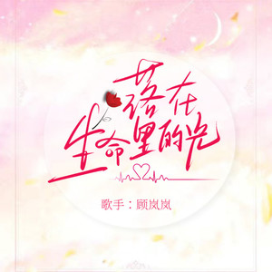 落在生命里的光
