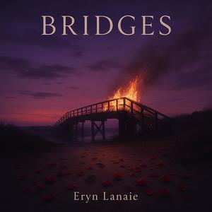 Bridges (Explicit)