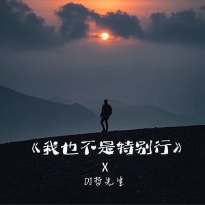 我也不是特别行