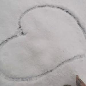 谭宇航TyH - 初雪