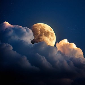 The Rhythm Of Rest