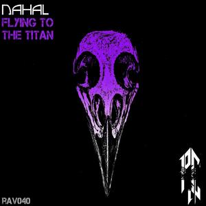 Flying to the Titan (Original Mix)