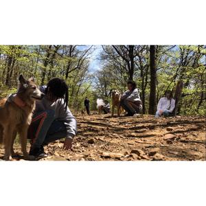 ICY ROADS (Explicit)