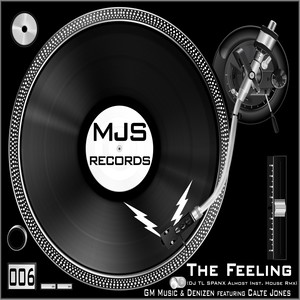 The Feeling (DJ TL SPANX Almost Inst. House RMX)