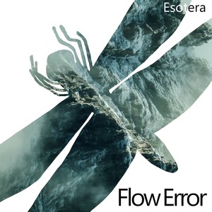 Flow Error