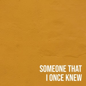 Someone That I Once Knew