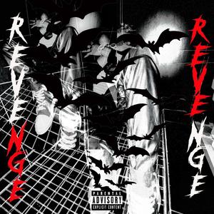 REVENGE VOL 1 (Explicit)