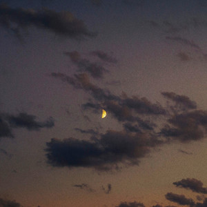 Dreamscape