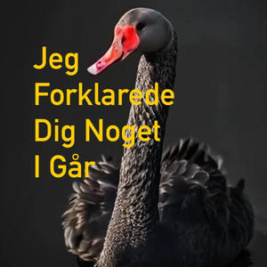 Jeg Forklarede Dig Noget I Går