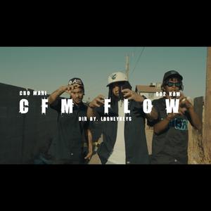 C.F.M Flow (Explicit)