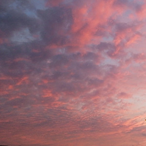 Bandolera (Explicit)