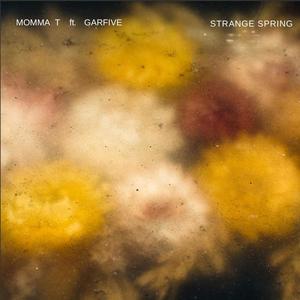 Strange Spring (feat. Garfive)