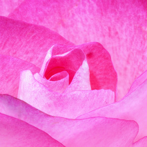 Run It Up (Explicit)