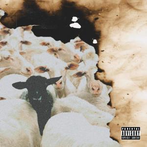 Black Sheep (Explicit)