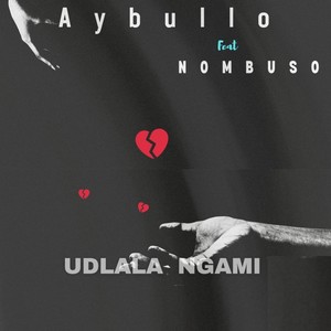 Udlala Ngami