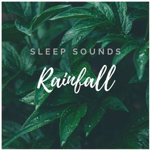 Sleep Sounds: Rain