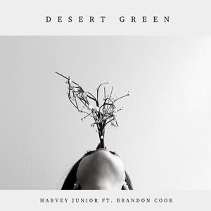 You Were Right (feat. Brandon Cook) (Acoustic)
