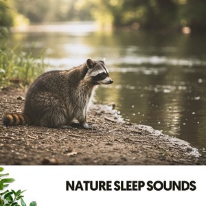 Nature Sleep Sounds: Harmonies of the Earth