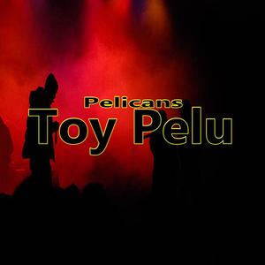 Toy Pelu (Explicit)