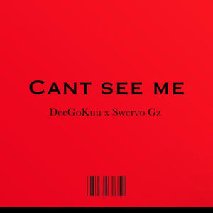 Cant See Mee (feat. Swerv Gz) [Explicit]