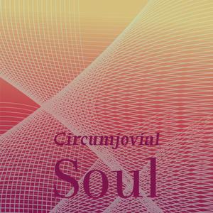 Circumjovial Soul