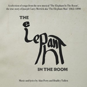 The Elephant in the Room - EP