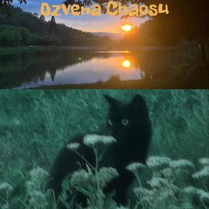 Basa za Hviezdami (feat. Shymles) (Explicit)