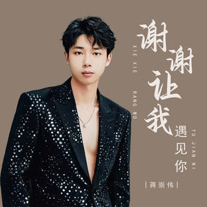 蒋崇伟 - 谢谢让我遇见你 (DJ版)