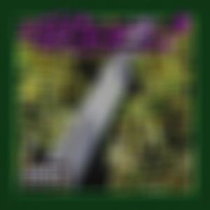 Popurrí De Bohemios (Explicit)