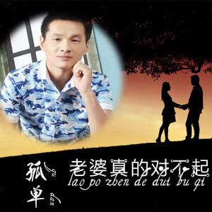 老婆真的对不起 (DJ版)