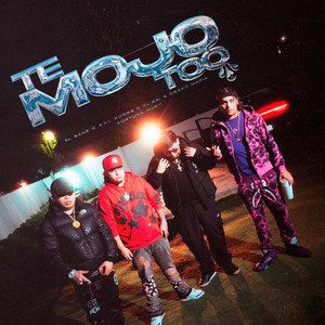 Te Mojo Too (Explicit)