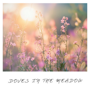 Doves In the Meadow