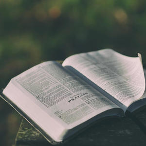 Teach Me (Verse Challenge)