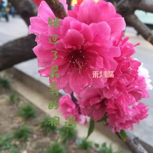 错过了最美的相遇