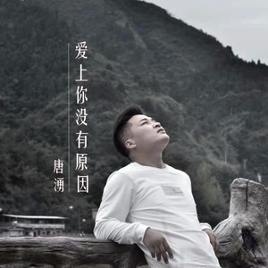 爱上你没有原因