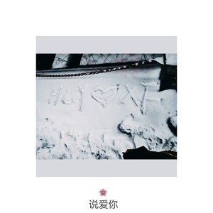 说爱你