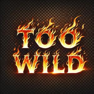 TOO WILD (Explicit)