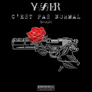 C'est pas normal (freestyle) [Explicit]