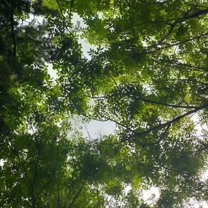 一种方式