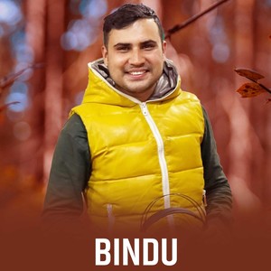 Bindu