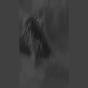 시공전기 레이포스